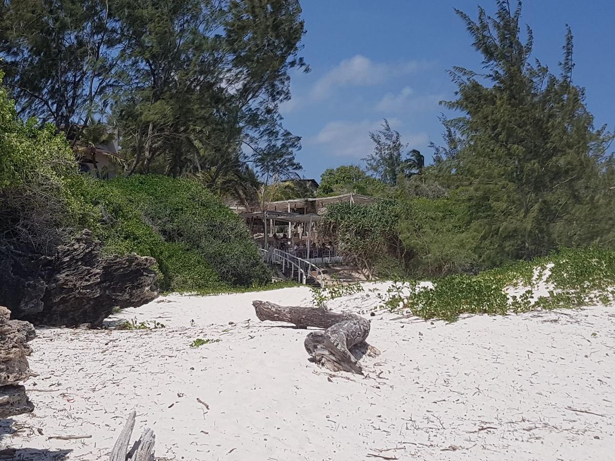 Nyumba Ya Afrika Bed & Breakfast Ватаму Екстериор снимка