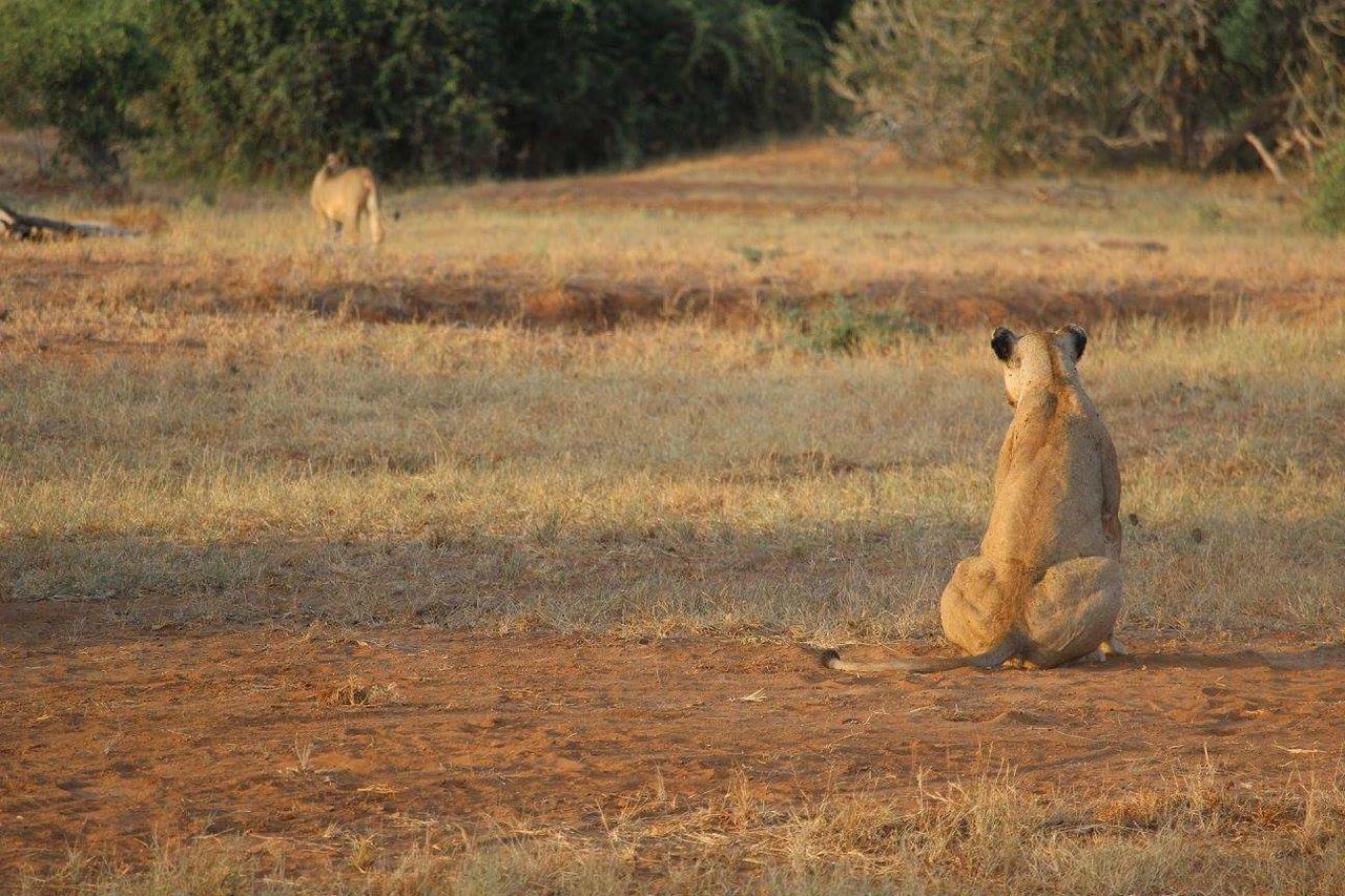 Nyumba Ya Afrika Bed & Breakfast Ватаму Екстериор снимка