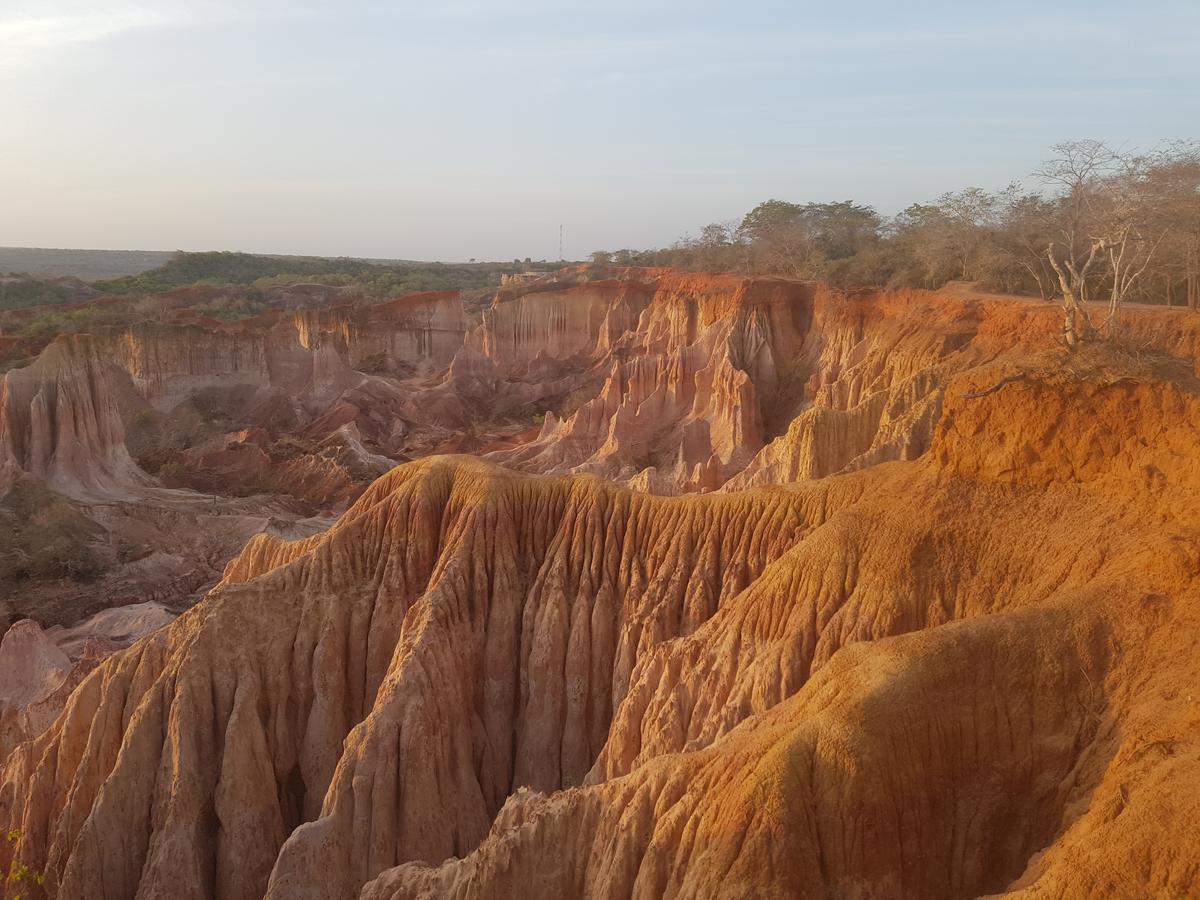 Nyumba Ya Afrika Bed & Breakfast Ватаму Екстериор снимка