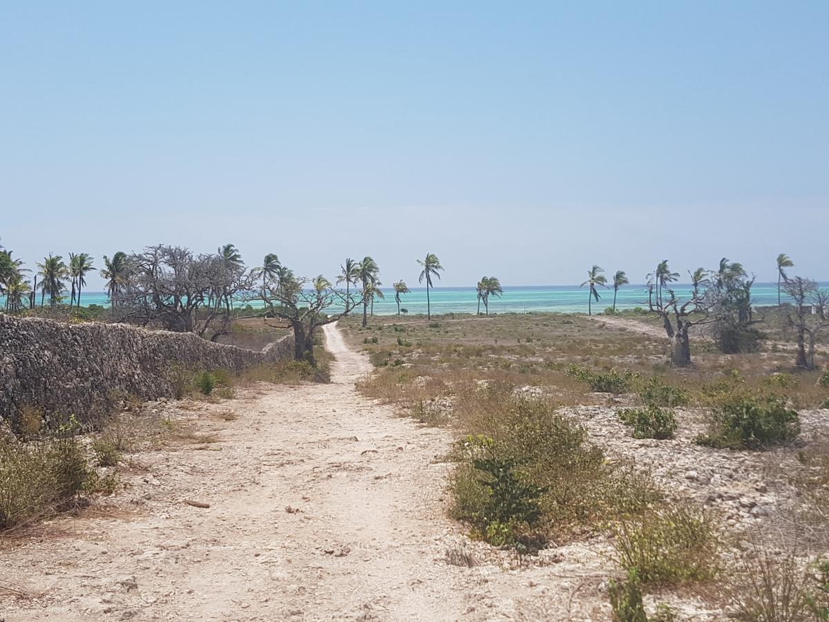 Nyumba Ya Afrika Bed & Breakfast Ватаму Екстериор снимка